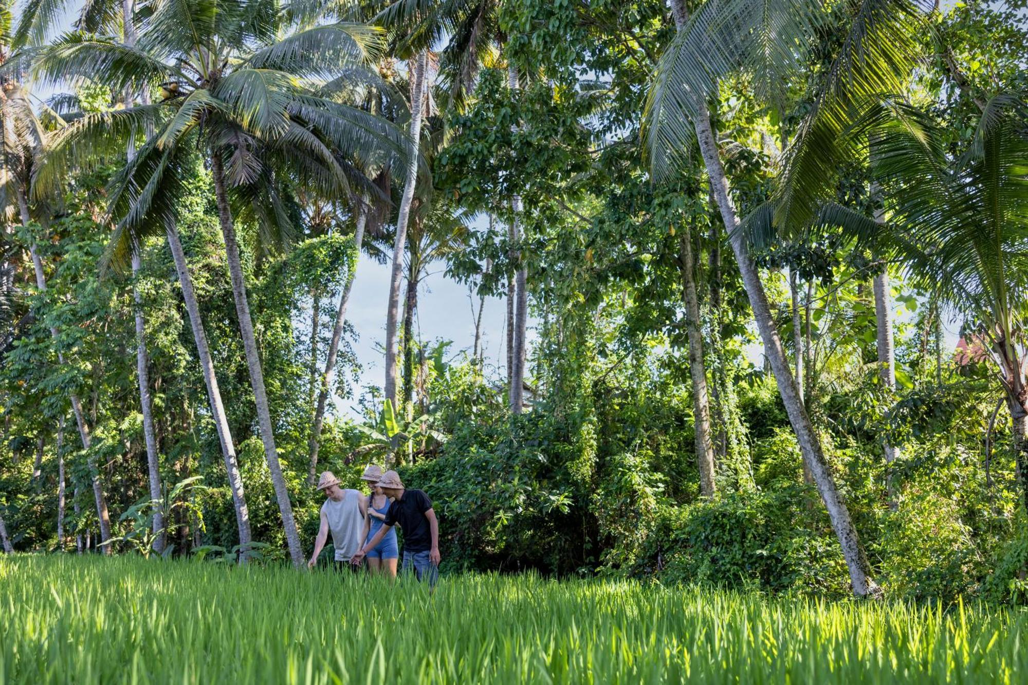 Kanhara Villas Ubud By Pramana Villas Kültér fotó